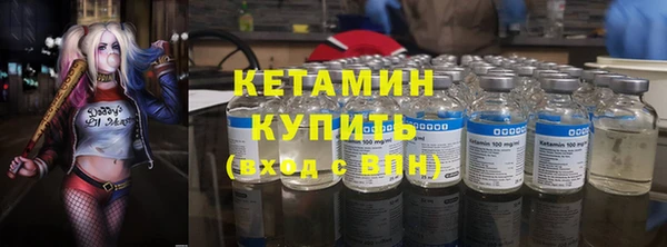 индика Заводоуковск