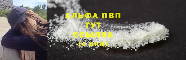 индика Заводоуковск