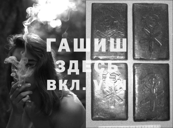 индика Заводоуковск