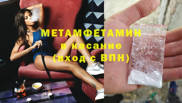 индика Елизово