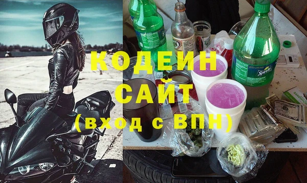 индика Елизово