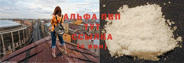 индика Заводоуковск