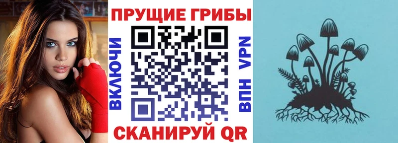 Галлюциногенные грибы Cubensis  Купить закладки  Мегион 